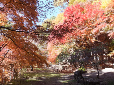 阿弥陀寺の鐘楼